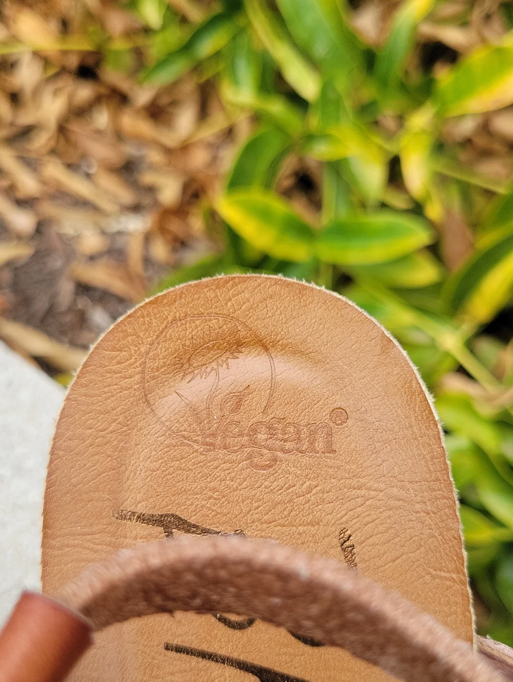 Blowfish Malibu Brown Strappy Toe-Loop Sandals